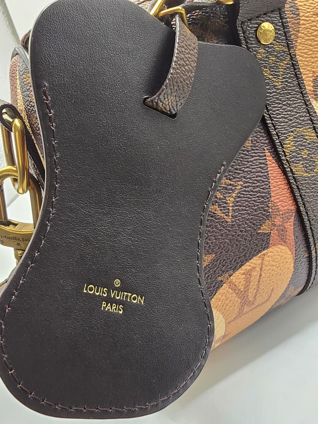Louis Vuitton x Kid Super 2023 brown portrait keepall 25 bandouliere